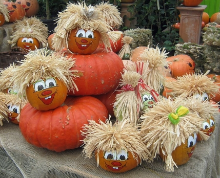 Súťaž